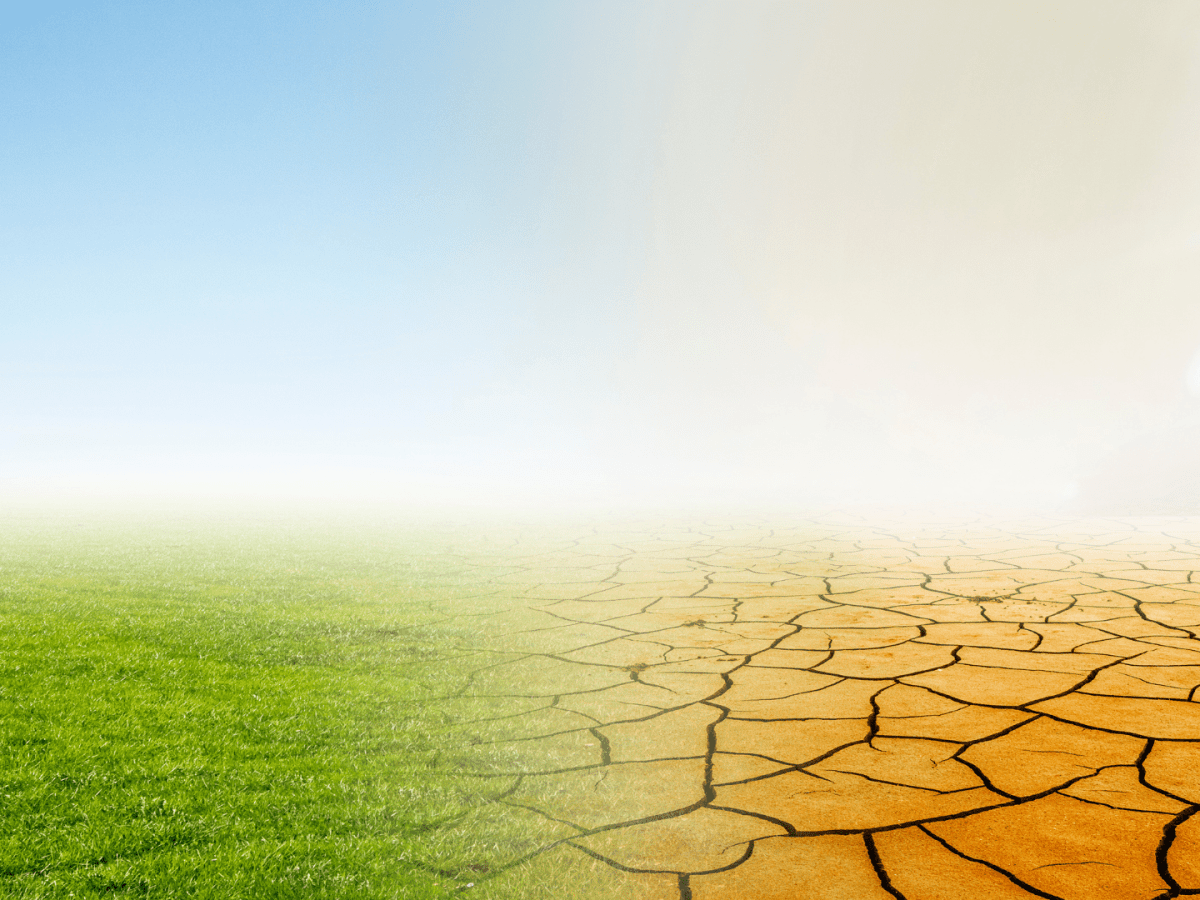  Afrique, nos campagnes sont-elles mortes&nbsp;?