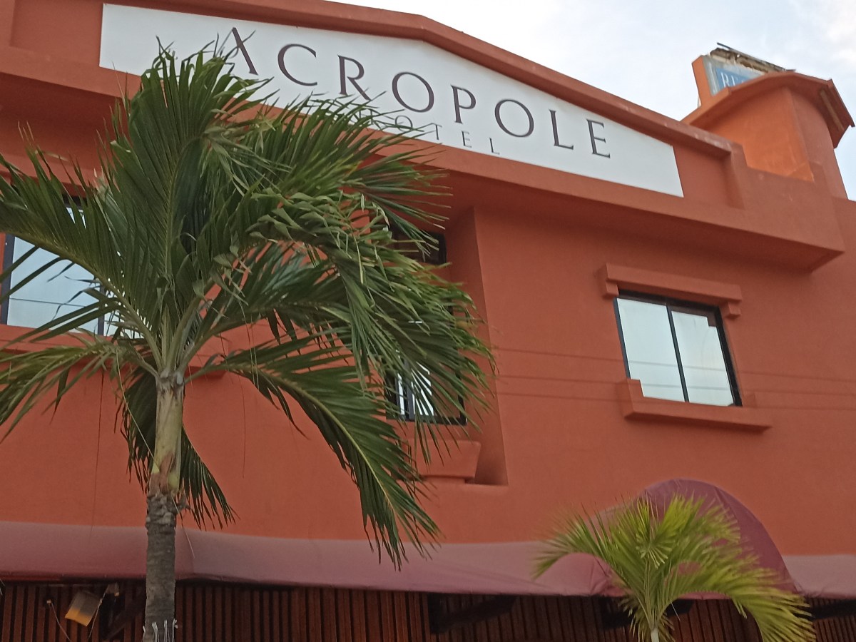 Restaurant Acropole: entre modernité et&nbsp;simplicité