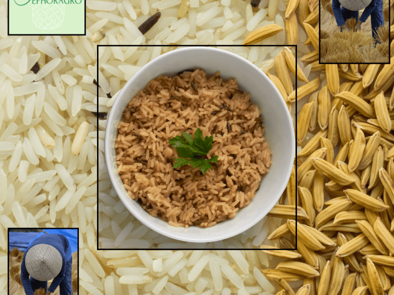 Riz au Bénin : les importateurs mis au pas&nbsp;!